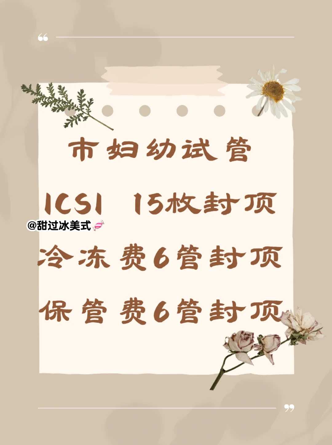 试管移植前补充什么维生素可以提高移植成功率？