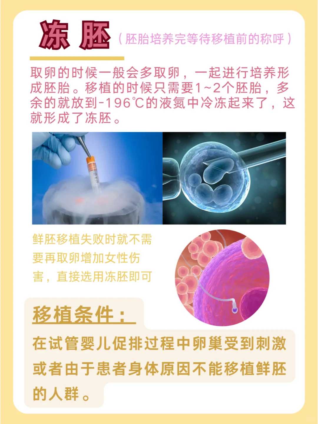 乌克兰试管婴儿技术对于不孕家庭是惊喜吗？