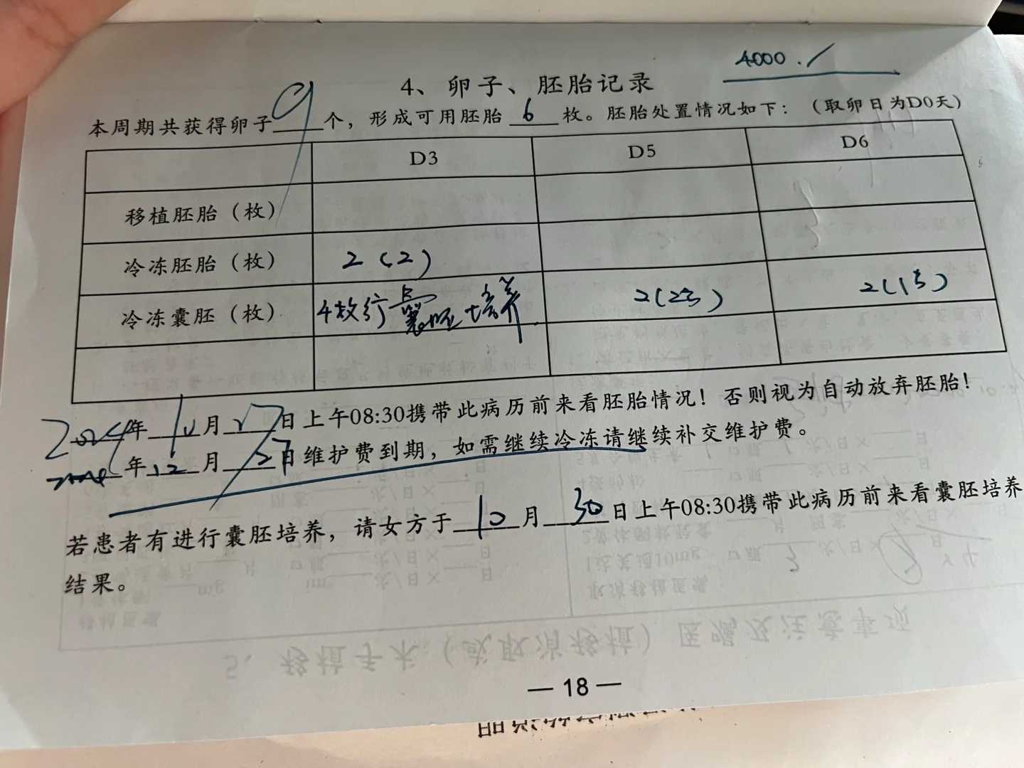 代怀哪里最安全-代怀生孩子好不好,试管婴儿体重轻怎样护理