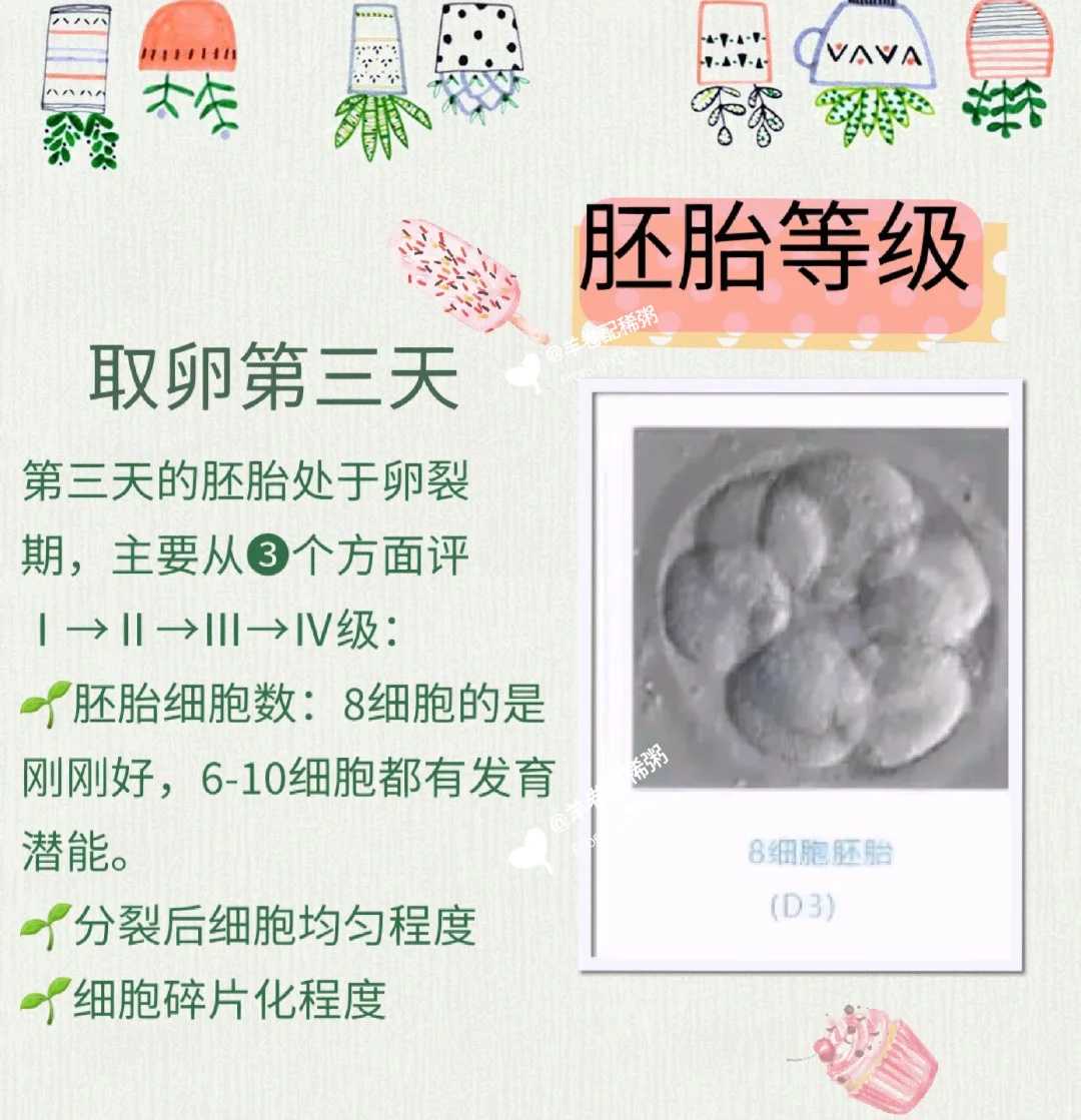 天津美中宜和生殖医学中心给足情绪价值,代孕哪里有助孕