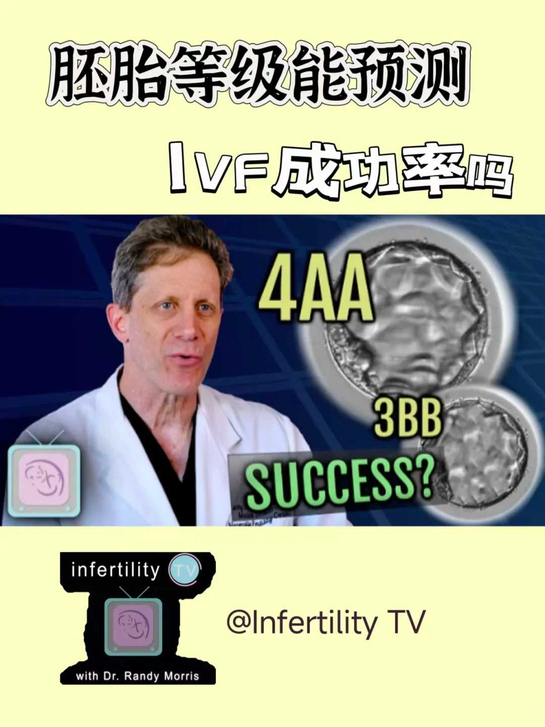 供卵代怀公司费用_正规代生机构,什么是试管婴儿和人工授精婴儿？试管和人工授精有什么区别？