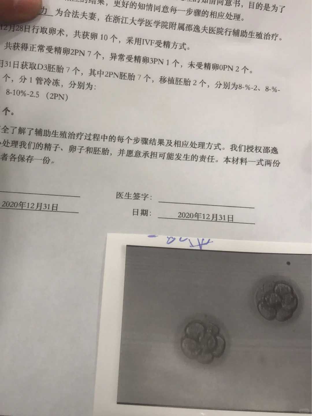 在做试管婴儿的过程中能食用芒果吗？对成功率有影响吗？