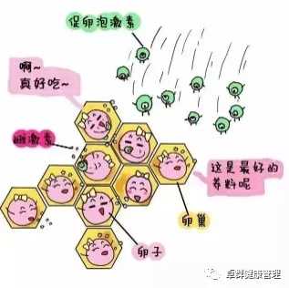 上午10点做完b超后可以马上拿到结果吗？要等多久？