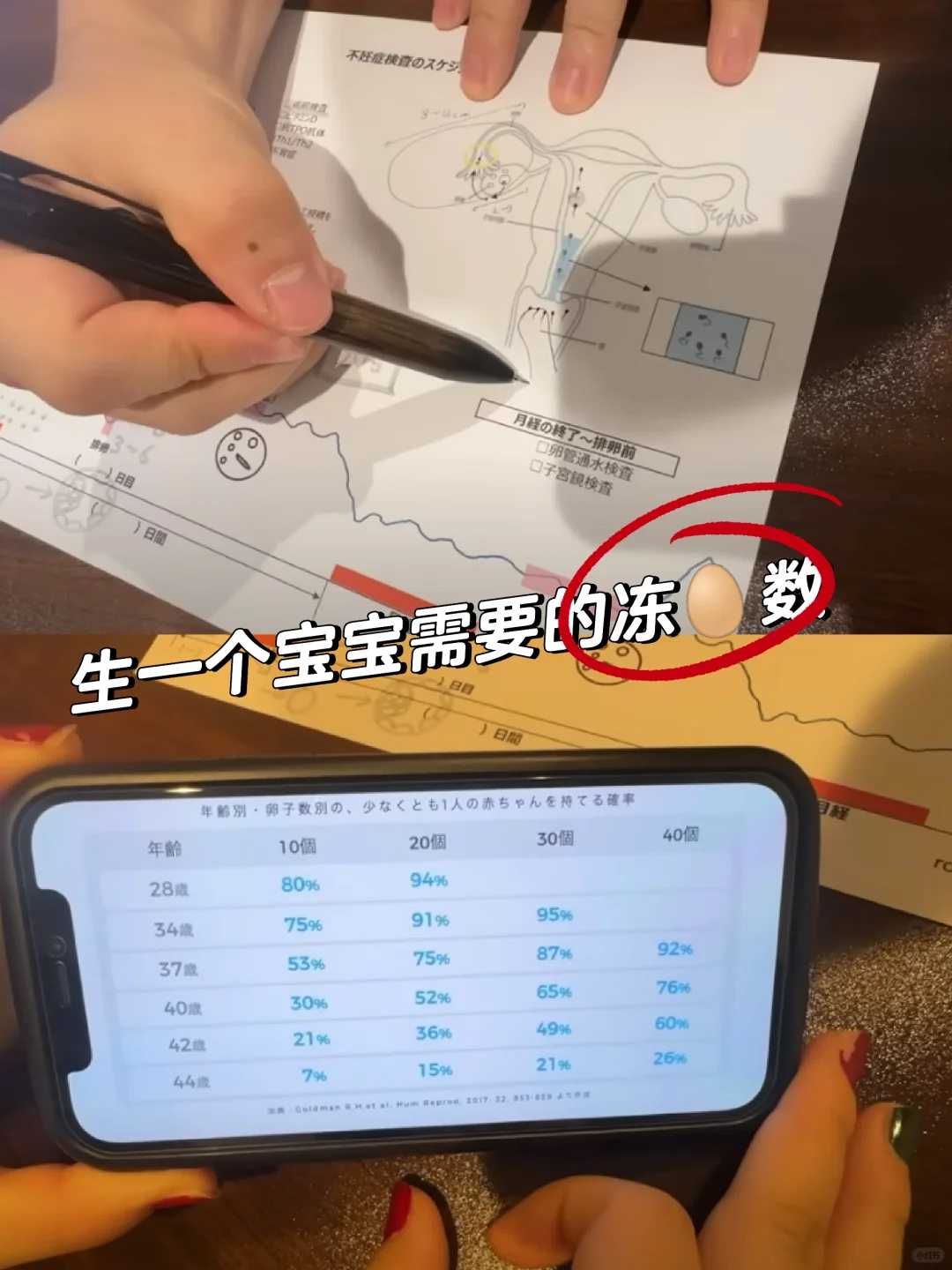 吃补佳乐能提高试管婴儿的成功率吗？吃什么可以提高成功率？